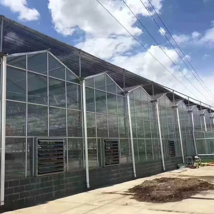 
Reliable venlo glass greenhouse with hydroponics and aeroponic system 