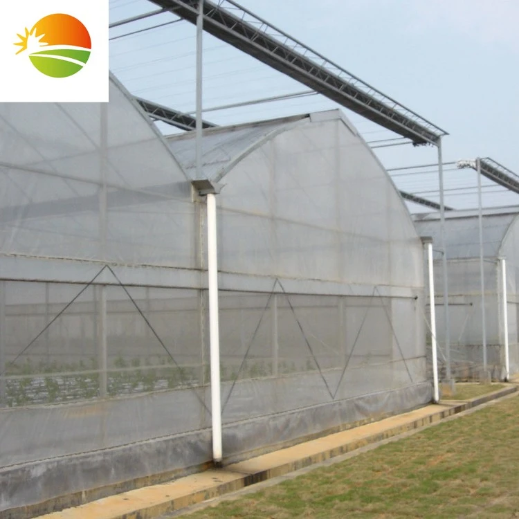 
Low cost high quality hydrophonic greenhouse 