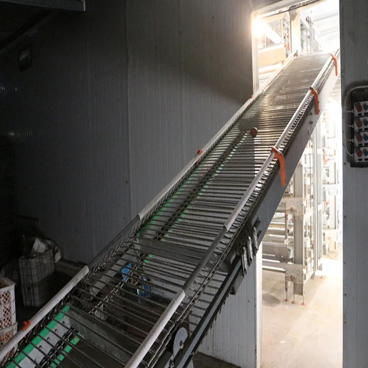 
Полностью автоматическая система сбора яиц для многослойной куриной клетки 