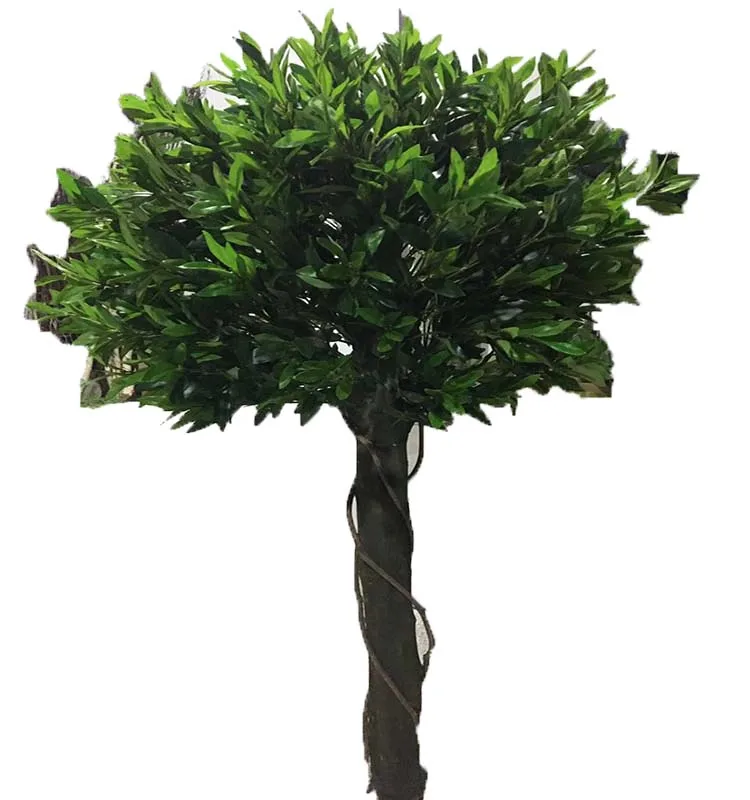 Middle And Small Artificial Olive Tree Artificial Tea Tree For Home Garden Decoration