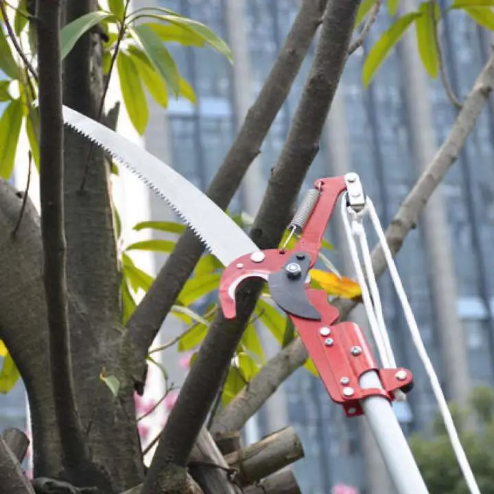 Hot Sale Extendable Scissors Pruning Tool Tall Tree Branch Lopper High-altitude Shears Picking Garden Trimmer Saw Branches prune
