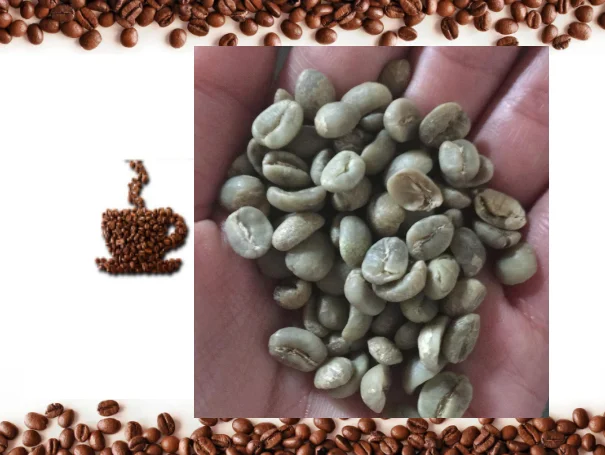 
The Best Green Coffee Beans -- Arabica -- 