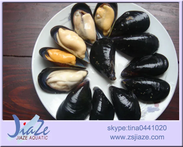 
Frozen cooked mussel meatIQF or Half Shell seafood 
