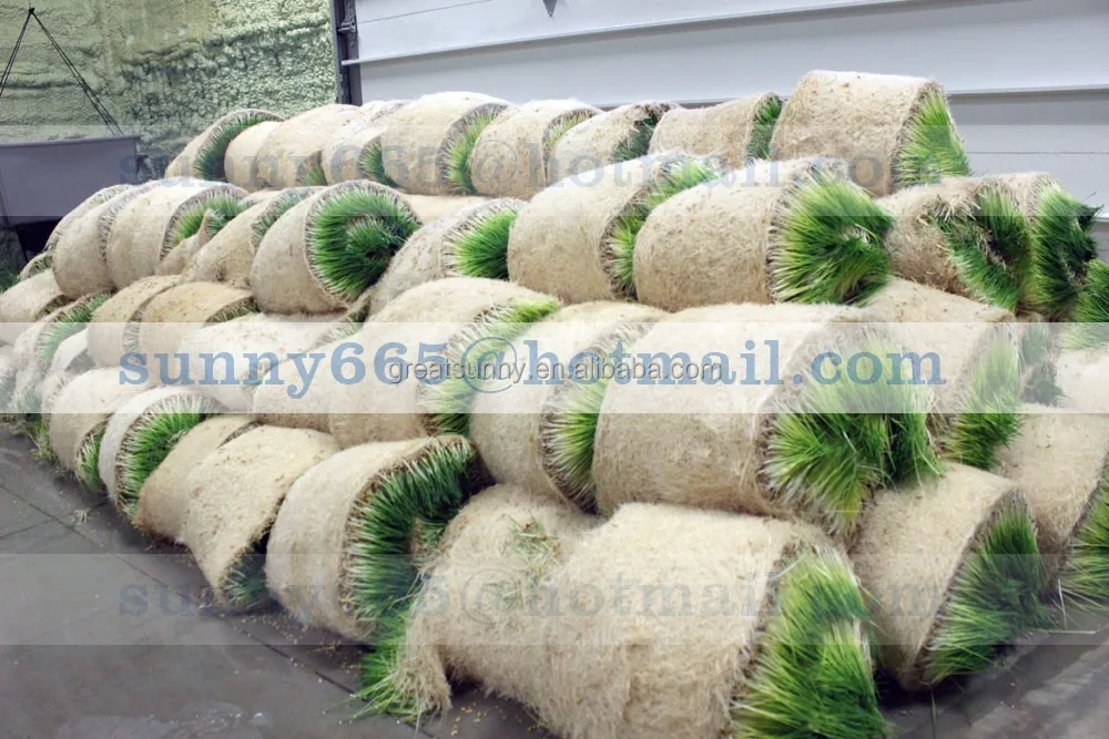 Cow /sheep /Cattle hydroponic fodder systems for sale