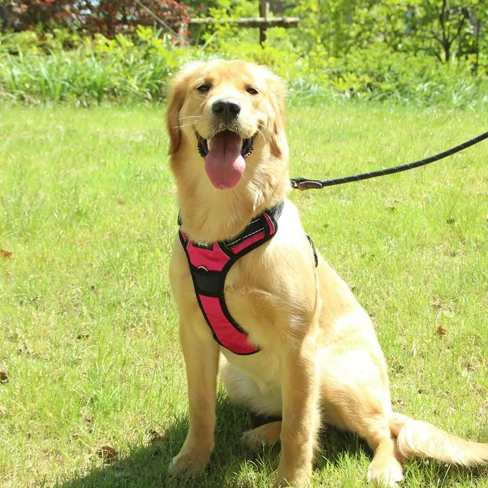 Wholesale New Design Service Adjustable Soft Padded Nylon Big Dog Harness with Lift