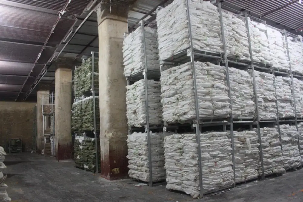 
2021 New season frozen Todarodes Pacificus Squid 