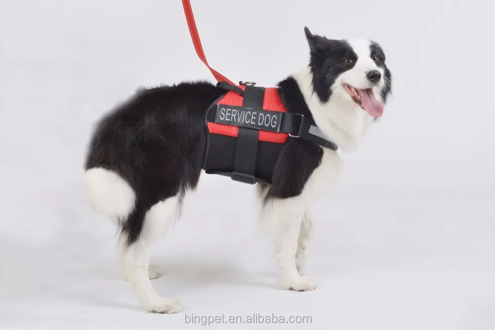 Manufacturer Wholesale Pet Training Lift Reflective Pet Service Safety Dog Harness for Large Dogs