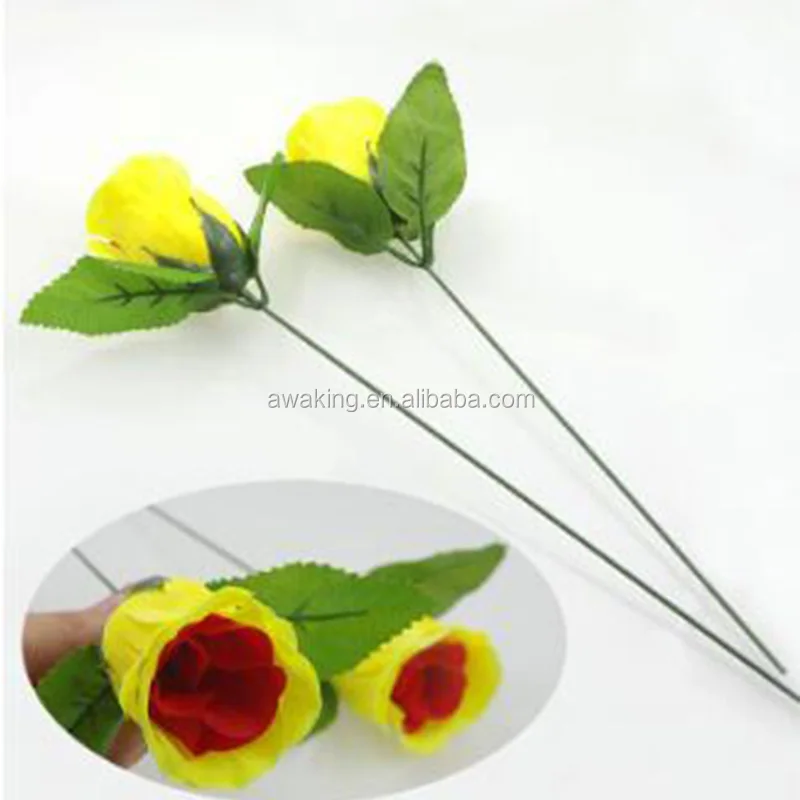 magic trick colour changing rose