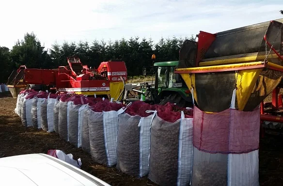 
Maxibag package big sack ventilated fabric FIBC PP mesh Bulk Bag Jumbo bag FIBC food container 