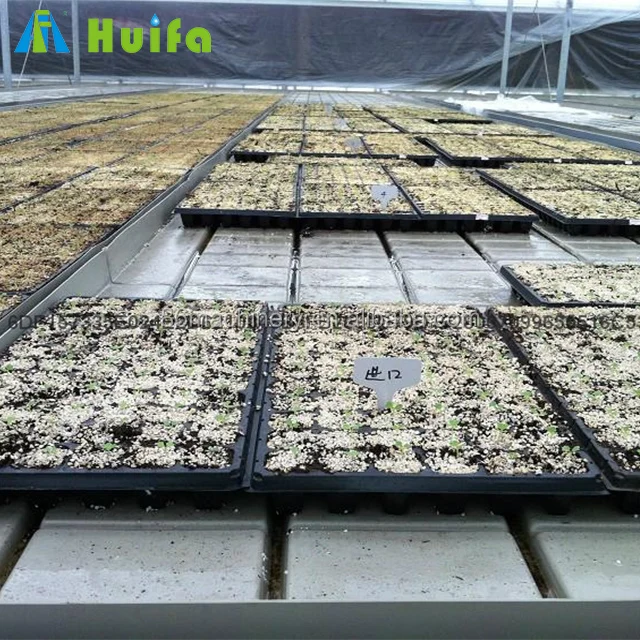 Horticultural Greenhouse Seedbed Planting Aquaponics Table