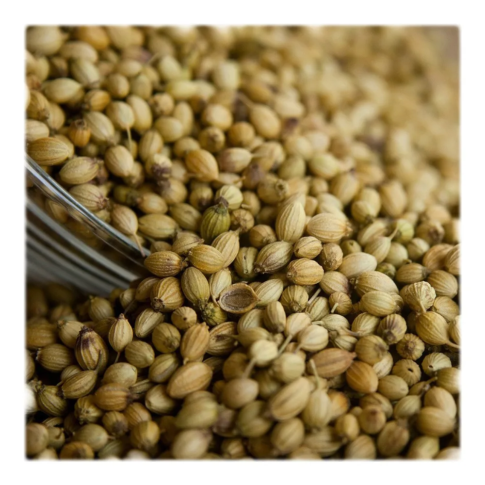 100% Чисто и Свежие Сушеные Китайский Оптовая Продажа Семян Кориандра Цена
