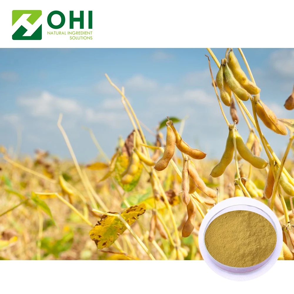 Hydrolyzed Non-gmo Soy Lecithin Powder (de-oiled lecithin) .