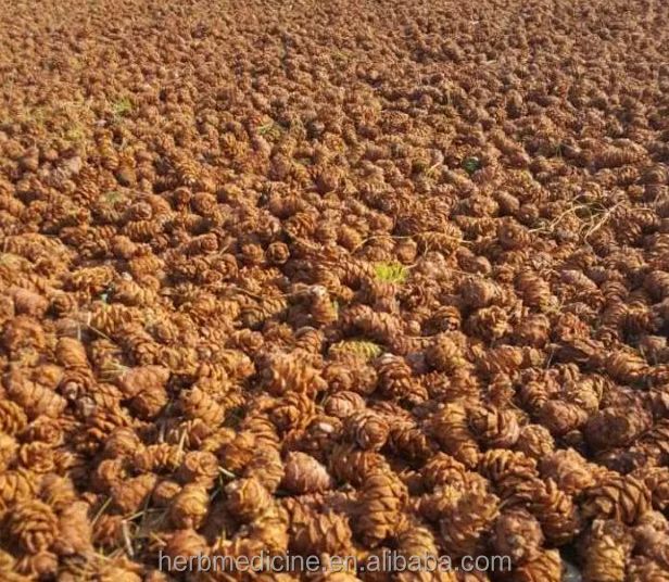 song guo Natural whole fruit shell seeds removed empty dried Pine Cone for decoration