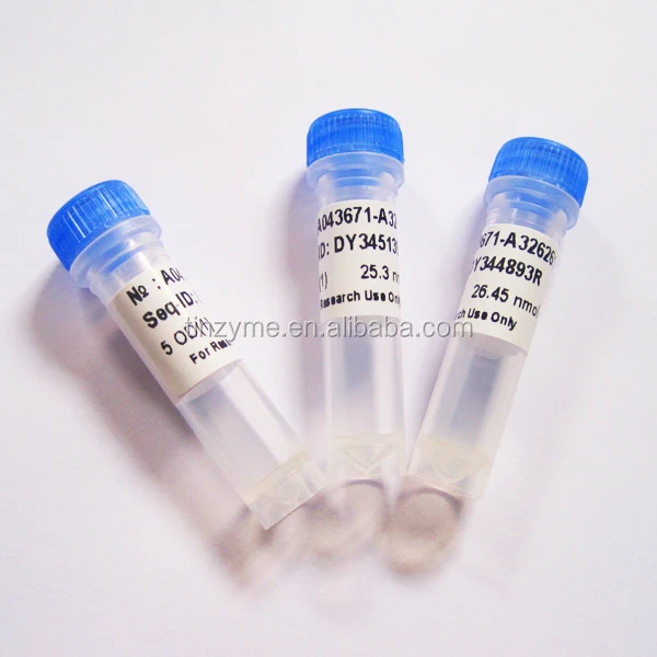 
Custom Oligo synthesis,oligo syntheis service 