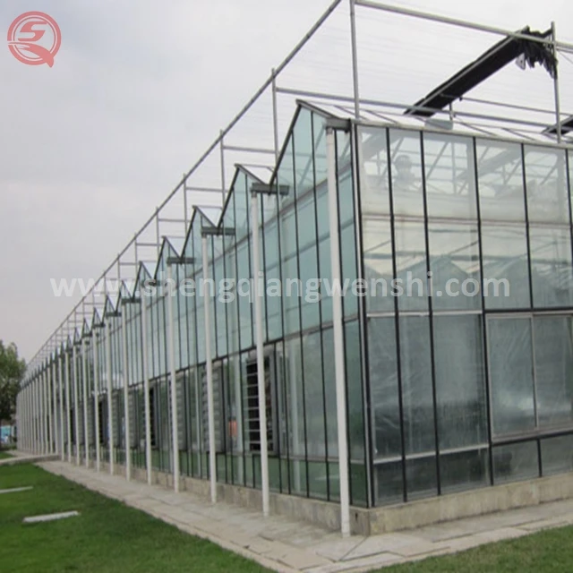 China supplier custom design orchid glass greenhouse