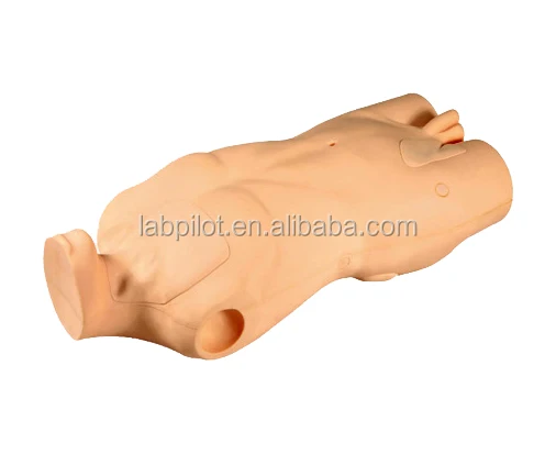IV Torso Simulator,Central Venous Injection and Puncture Torso Model