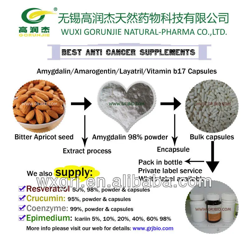 Anti Cancer Bitter Apricot seed extract Amygdalin b17 powder