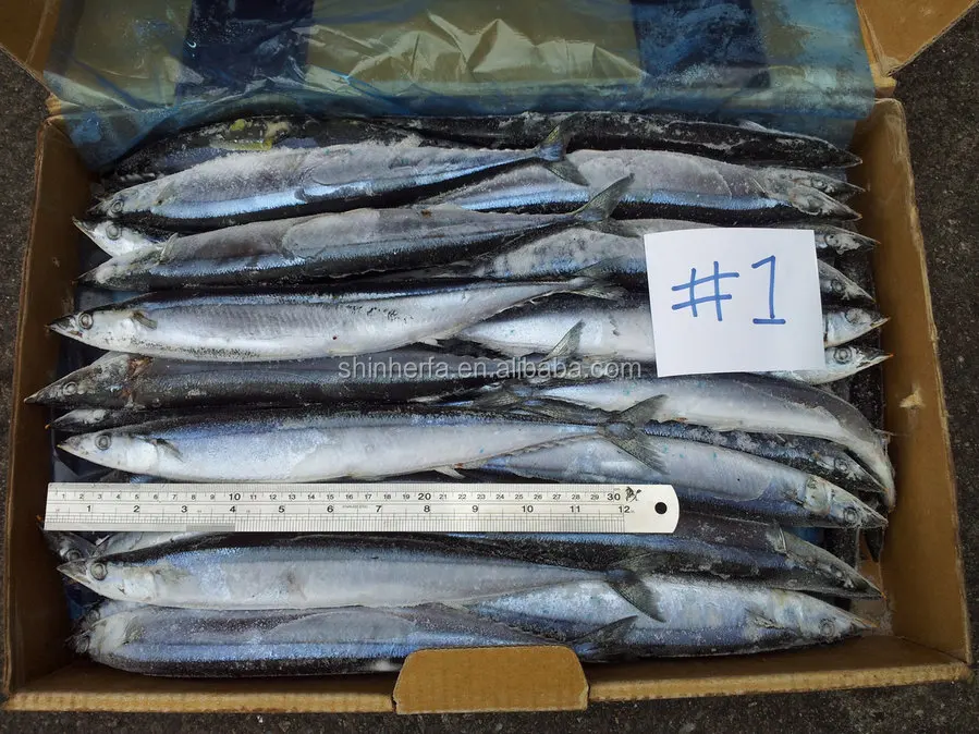 
Taiwan Frozen Pacific Saury #1 No.1 