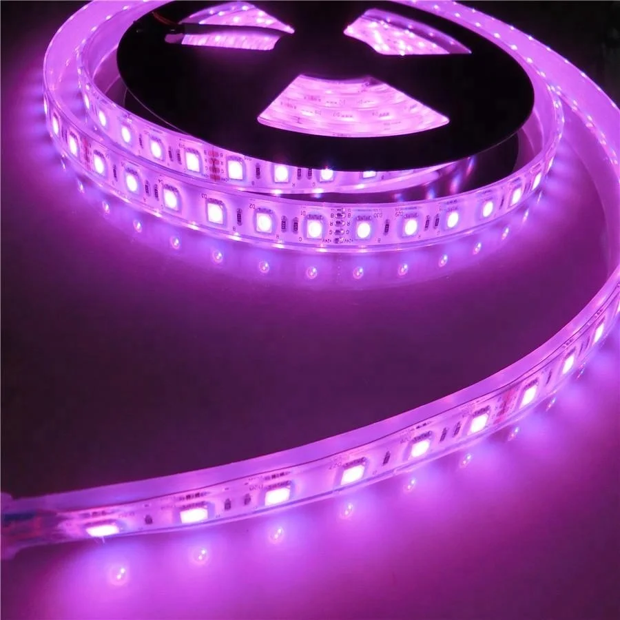 Waterproof 5050 RGB 12V 24V IP68 Water Proof led strip light for swimming pool
