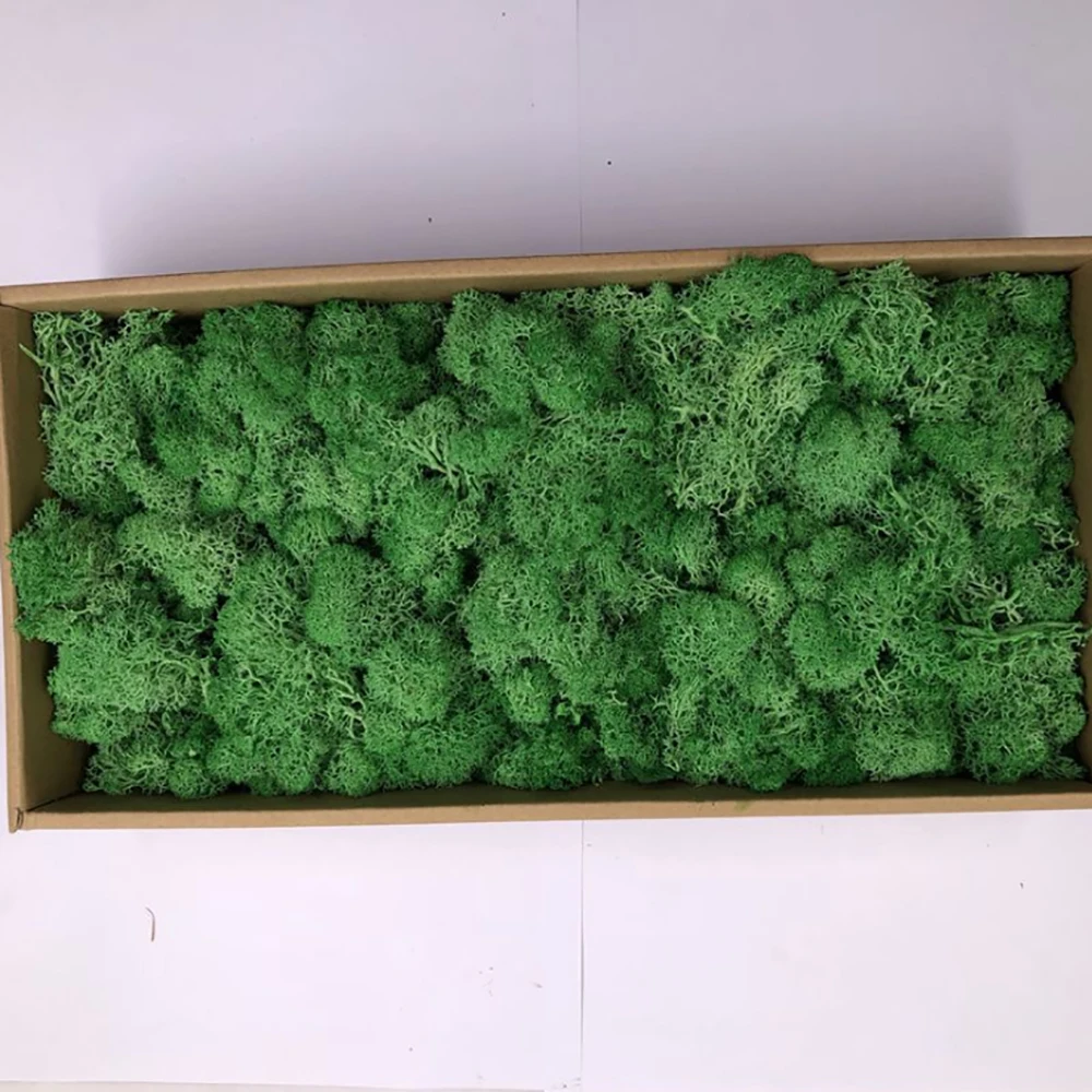 
Wholesale Best Quality Kunming Grade A Preserved Reindeer Dried Moss for Wall Decoration 