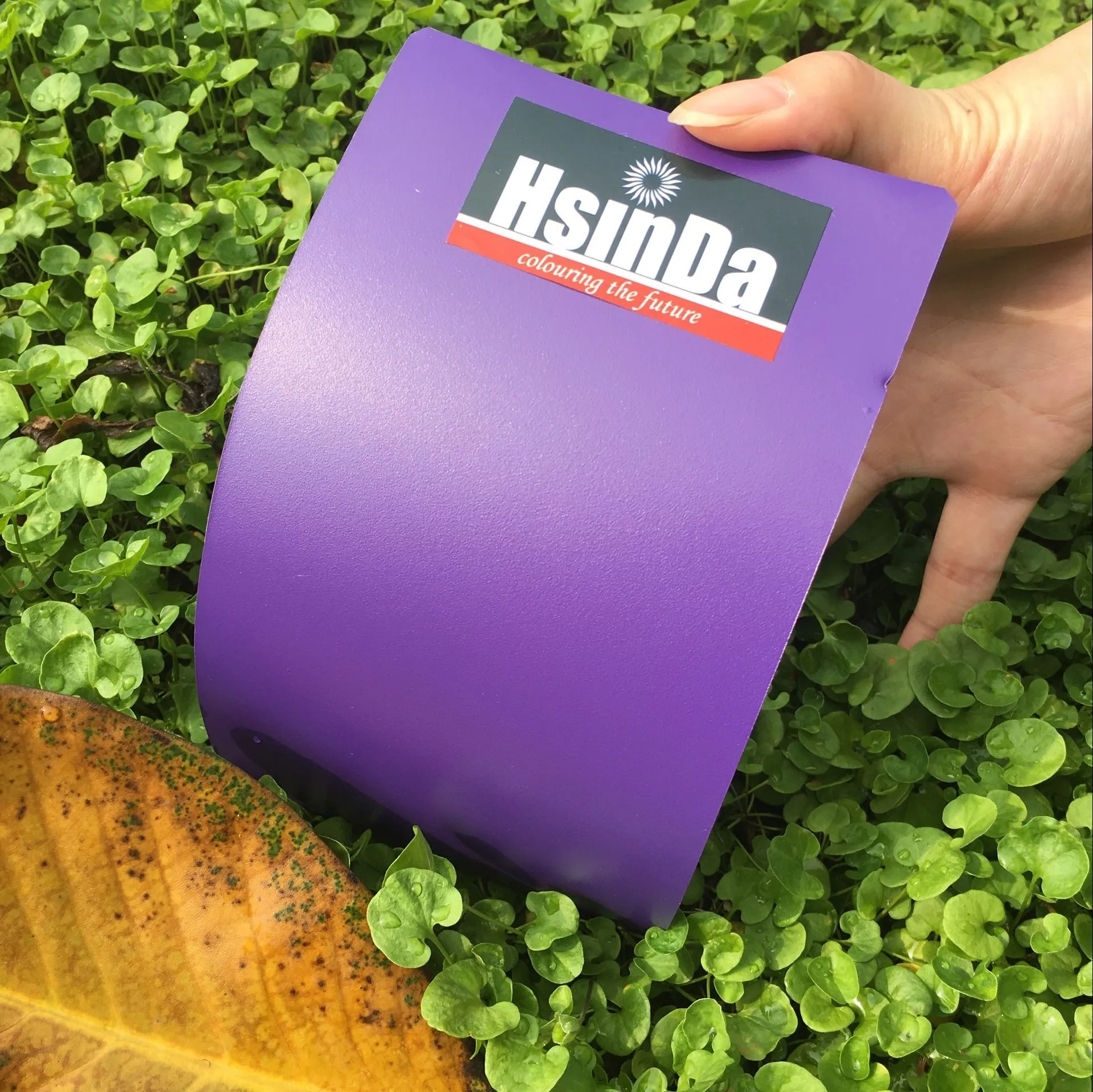Hsinda Ral 4008 High Gloss Candy Purple Electrostatic Spray Paint Food Grade BPA Free Epoxy Glossy Powder Coating