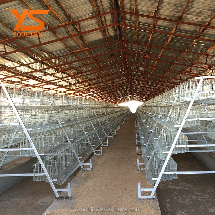 Automatic Bird Breeding Cages Layer Cages