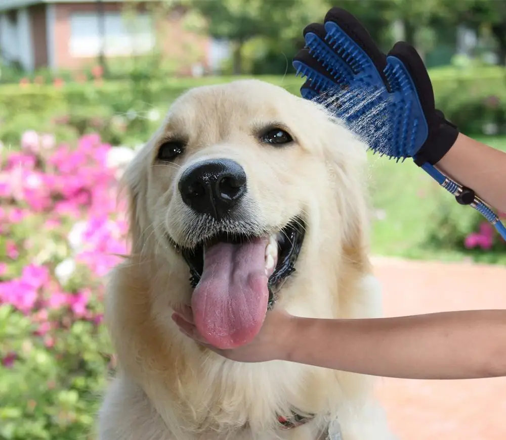 Portable 2 in 1 dog shower brush ,  pet dog shower with 4 Faucet Adapters