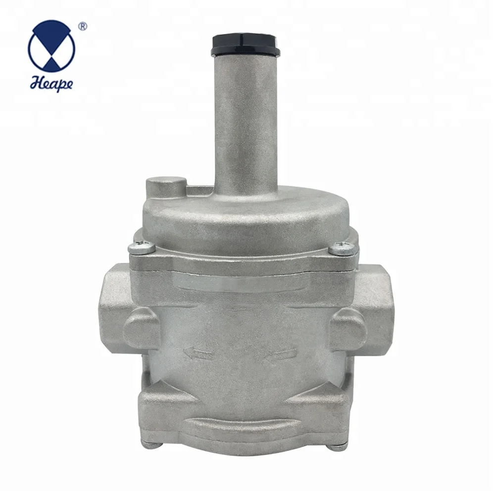 
HEAPE DN15 Natural Gas Regulator Valve 