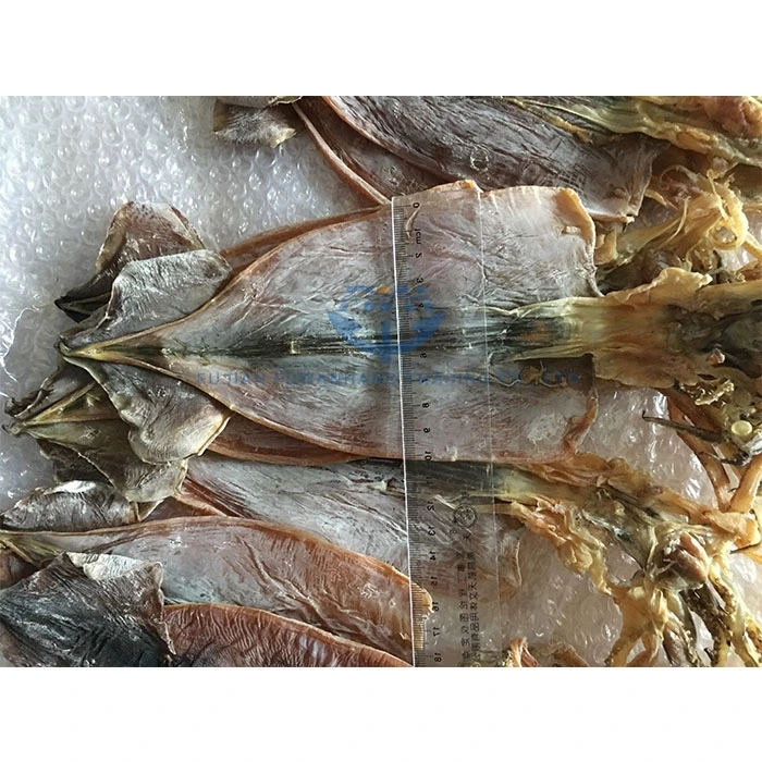 
Moisture Dried todarodes squid 