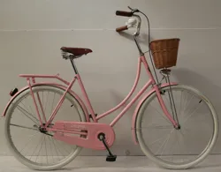 New Style 28 inch single speed pink women vintage style bike/Holland city bicycle/ with light,carrier and basket