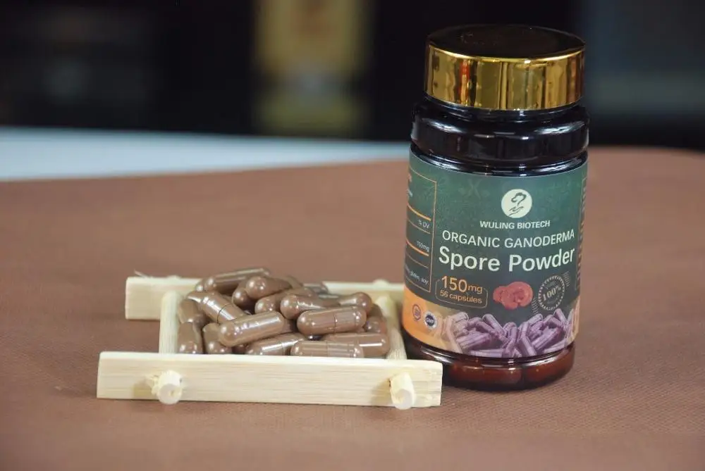Лидер продаж порошковые капсулы с семенами грибов Ganoderma Reishi Lingzhi