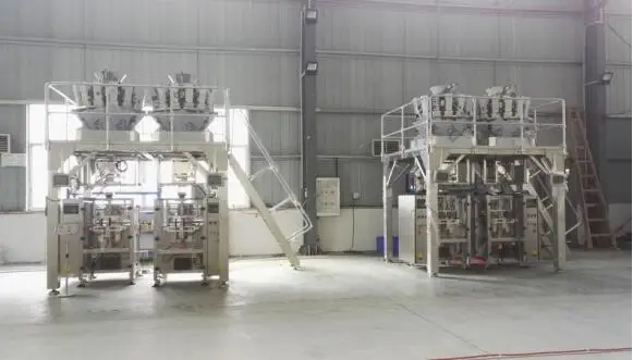Multifunction standing pouch packaging machine Automatic  printing packaging machine for chips plum candy