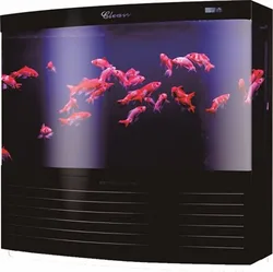 Large Acrylic Aquarium Fish Tank  Back Cycle Back Filter In The Tank