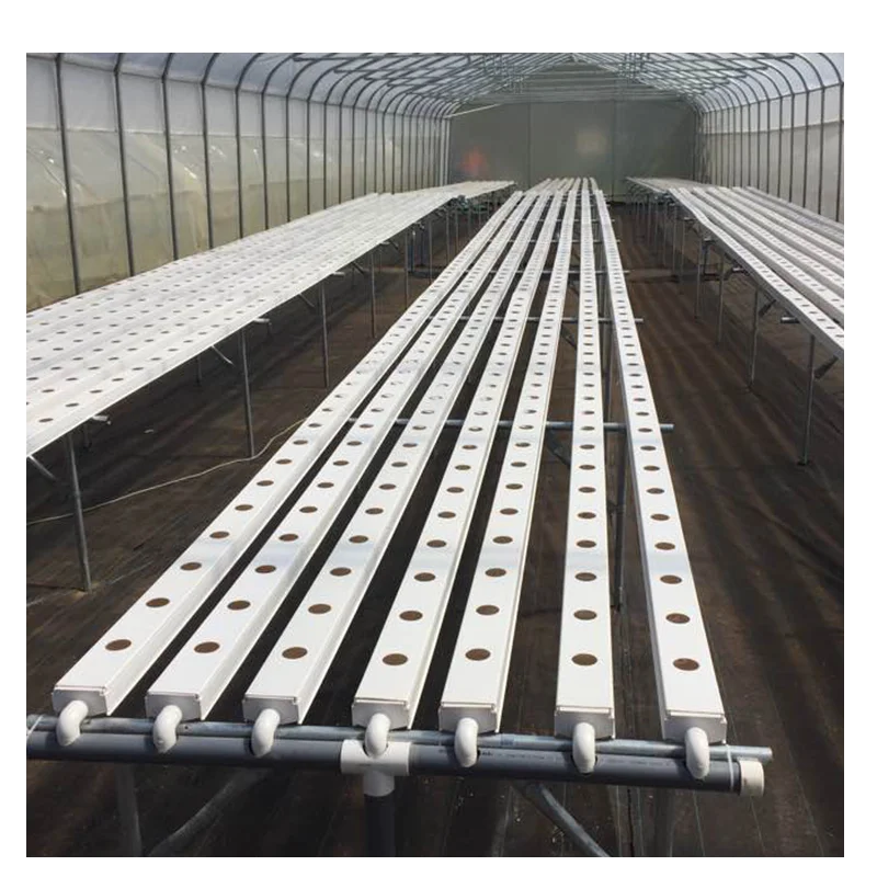 
pvc channel hydroponic nft growing systems for farm growing vegetable with hot dip galvanized frame/ stainless steel frame 