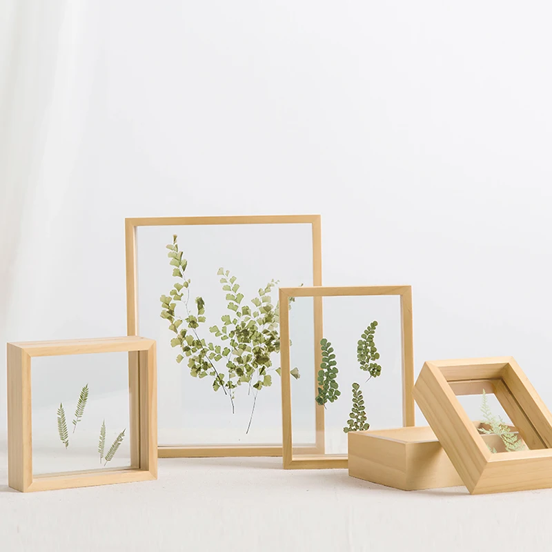 Двухсторонняя стеклянная прозрачная коробка для образцов растений