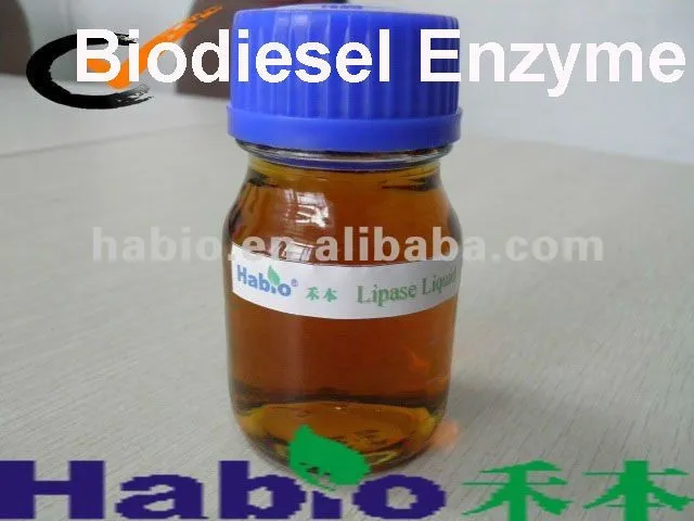 
Biodiesel Lipase chemical agent Industry additive enzyme 
