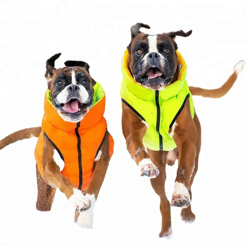 kevlar dog protection vest