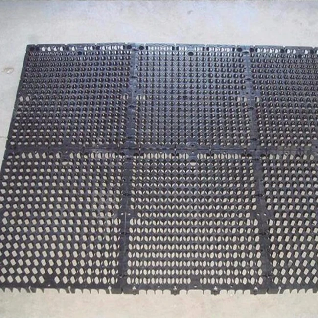 
Drainage cell drain cell drainage board for roof garden or roof drainage 