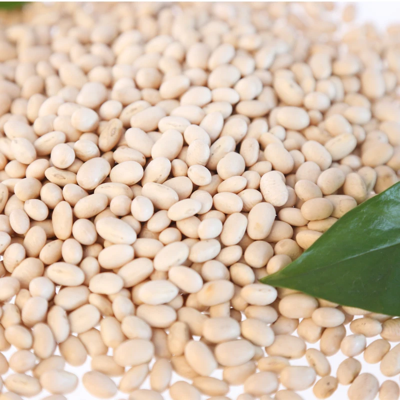 Common cultivation white haricot beans from china
