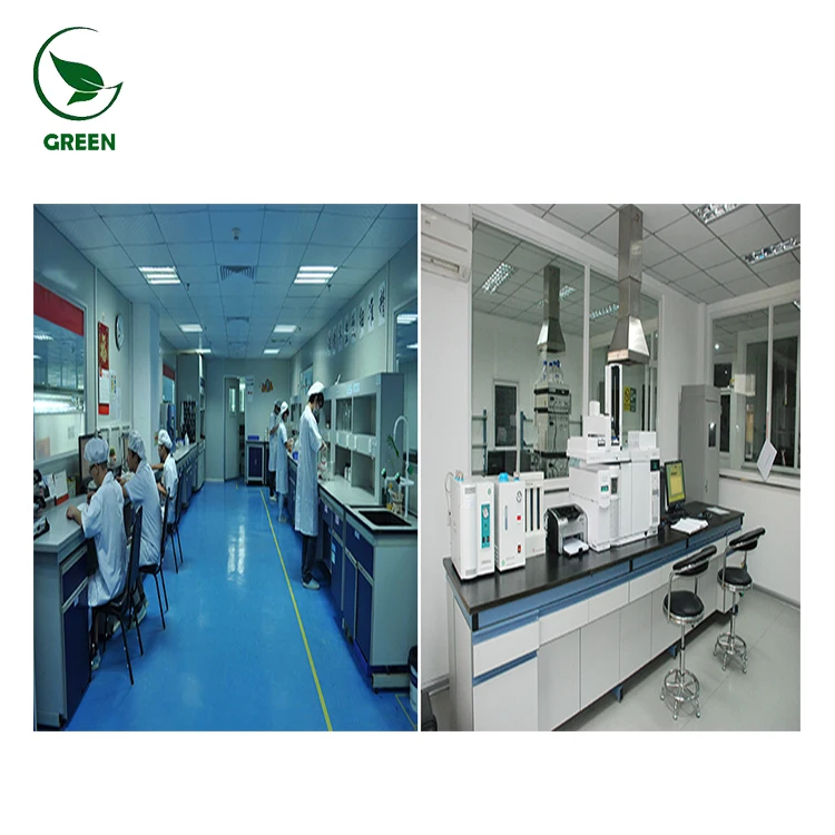 
Organic 100% Pure Chlorella Powder Wholesale 