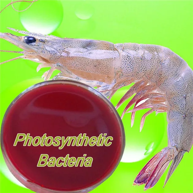 Живые бактерии родопсевдомоны палюстри 3 миллиарда для аквакультуры