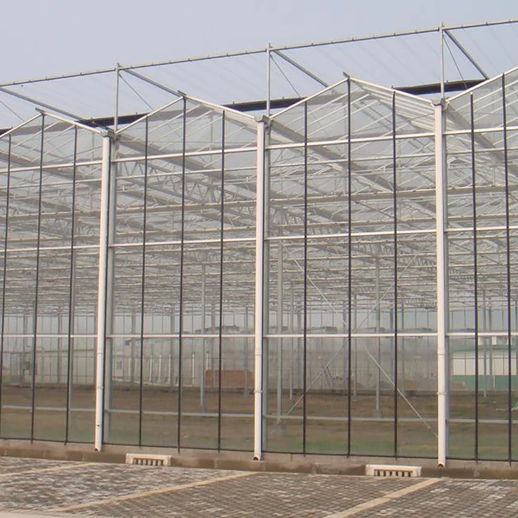 
Mutli span plastic film agriculture glass multi-span garden polycarbonate greenhouse 