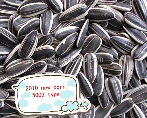 
Decilious pure white sunflower seeds 