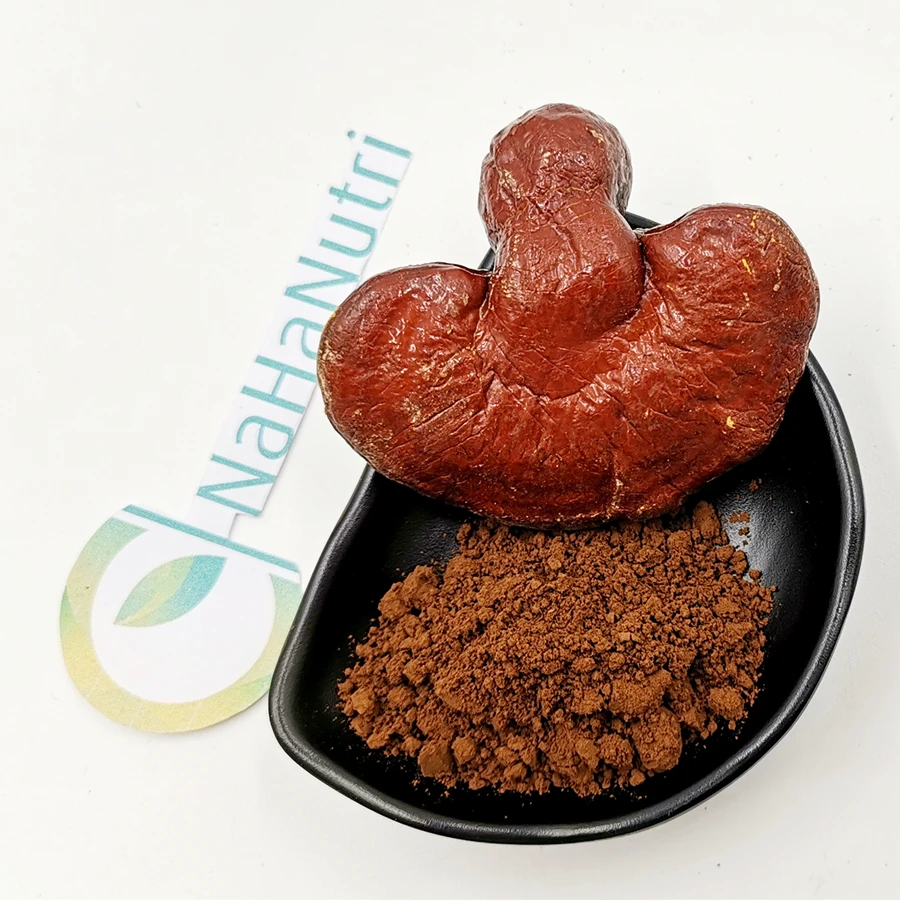 
High Quality immunity enhancing mushroom reishi spore powder 