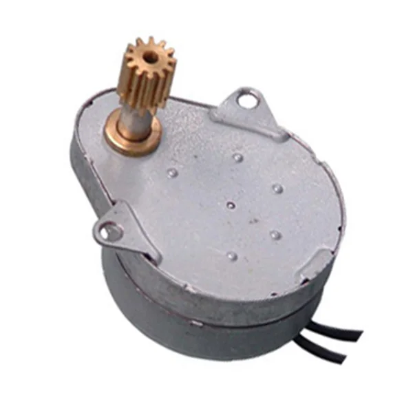 
49Tyj Synchronous Motor 