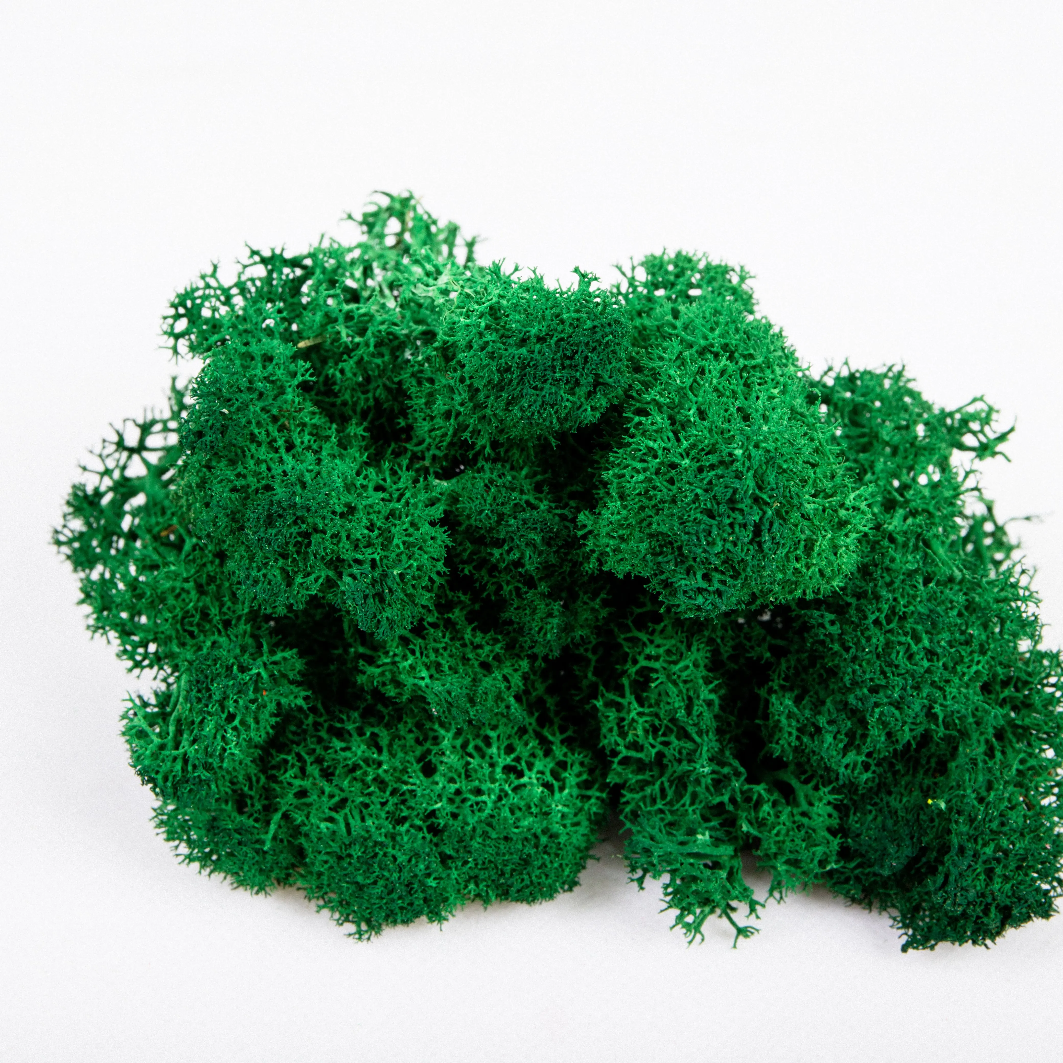 wholesales reasonable price dried sphagnum preserved moss