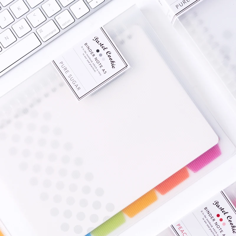 Chinese kawaii stationery products wholesale PVC hardcover plastic B5 ring binder