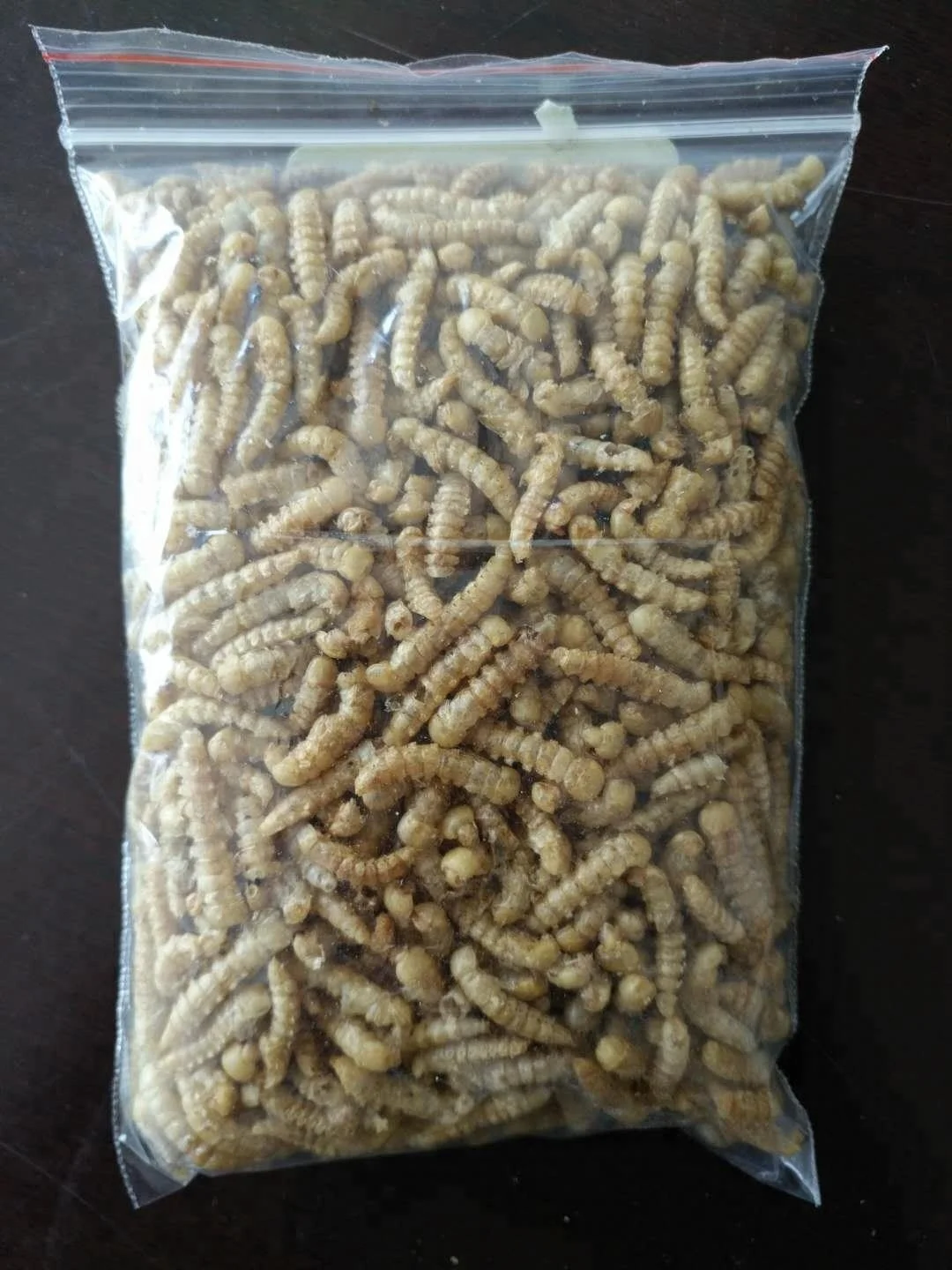 Ostrich Food Dried Yellow Mealworm Pupa Pet Feed Ddditive