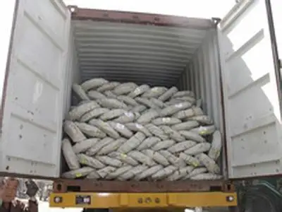 Егоза колючая проволока