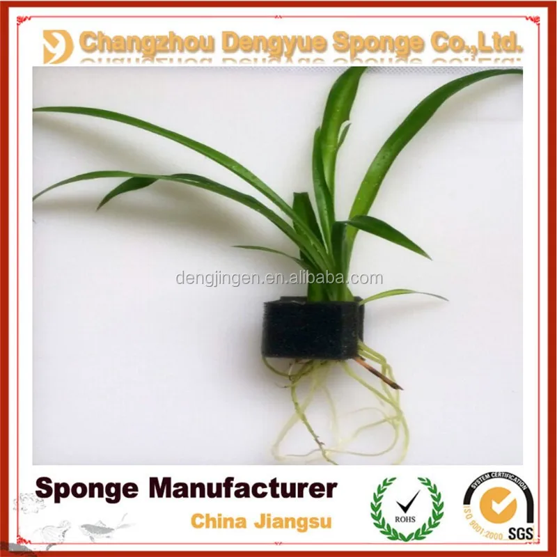 Thailand hydroponic vegetables moisture retain sowing seeds hydroponics sponge